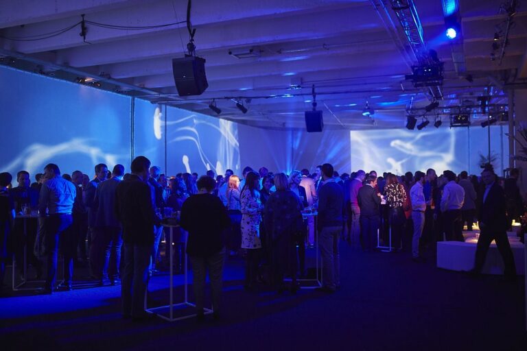 Création_vidéo_ mapping_3 salles_Soiréetotemparty._3_image_White gallery,.png (Moyen)