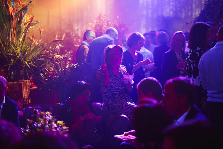 Création_vidéo_ mapping_3 salles_Soiréetotemparty._6_image_White gallery,.png